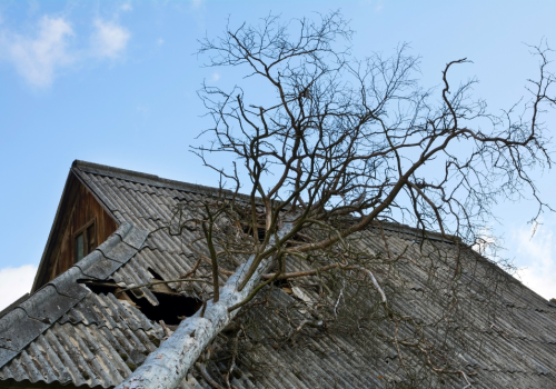 Storm Restoration Guide for Roof Damage Claims